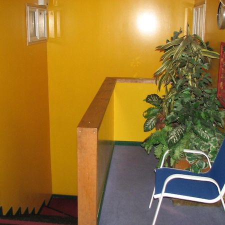 Hostal El Mirador Punta Arenas Bagian luar foto